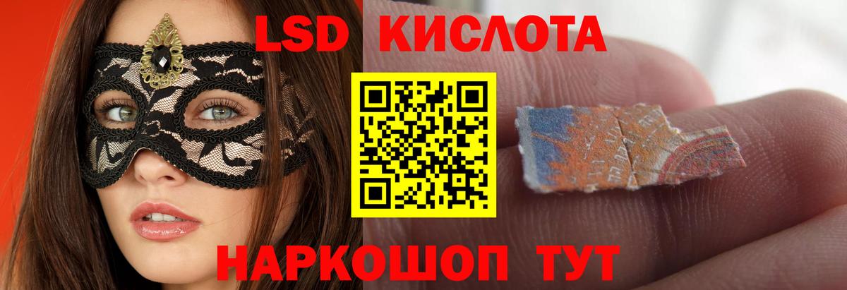 МЕФ Элиста