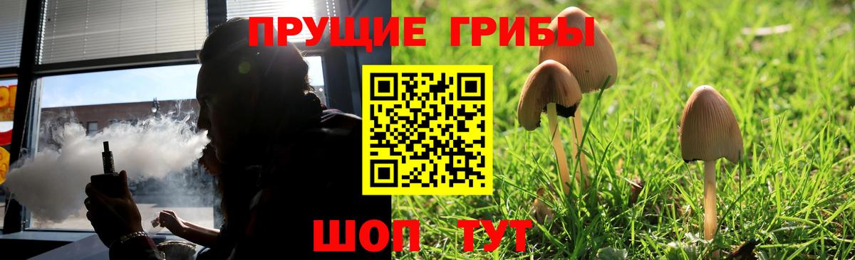 Псилоцибиновые грибы GOLDEN TEACHER Элиста